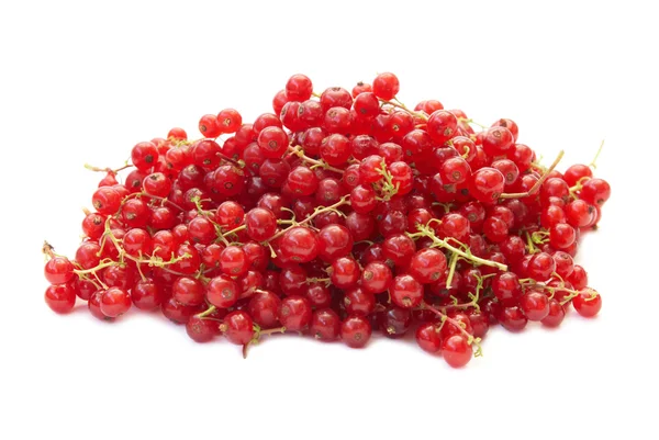 stock image Pile of raspberries currants.