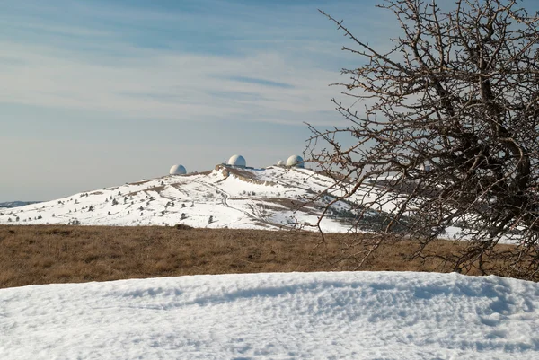 Alberi invernali in montagna . — Foto Stock
