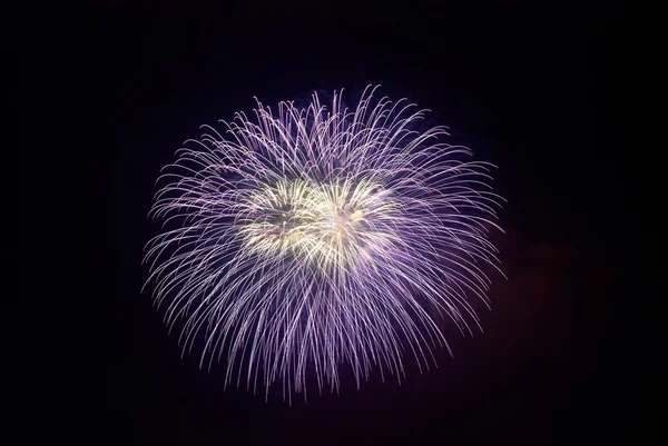 Gyönyörű tűzijátékok — Stock Fotó