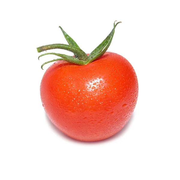 Κόκκινη ντομάτα με σταγόνες νερό — Φωτογραφία Αρχείου