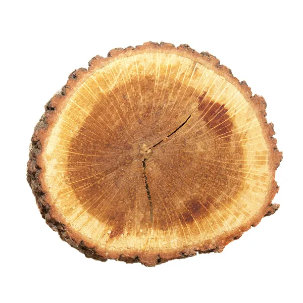 Деревянный пень — стоковое фото