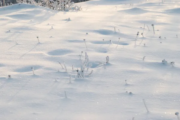 Winter sneeuw overdekte veld. — Stockfoto