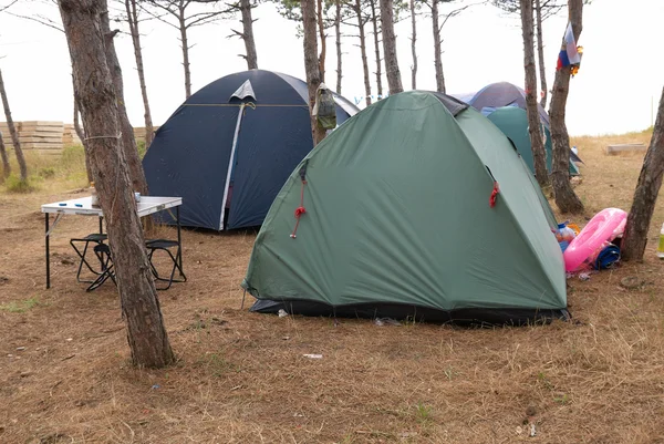 Campingplads i skoven - Stock-foto