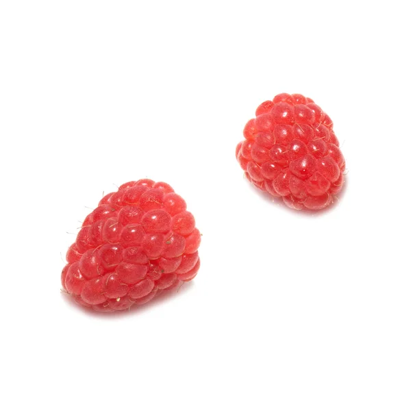 두 나무 딸기 — 스톡 사진