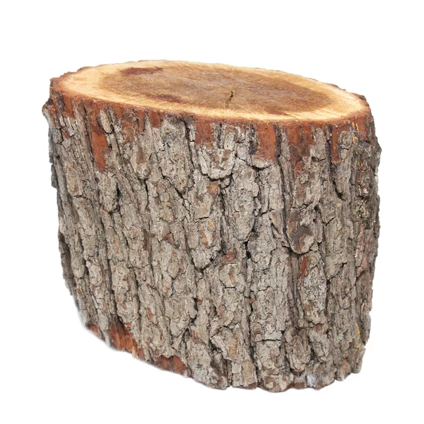 Fából készült stump — Stock Fotó