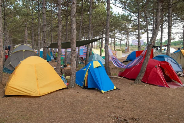 在森林中的营地 — 图库照片