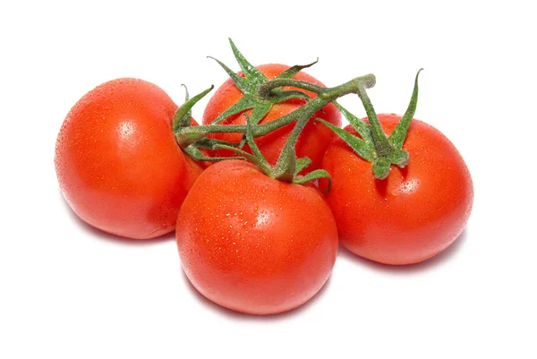 赤いトマトのグループ — ストック写真