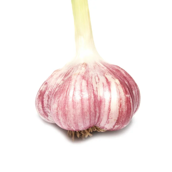 Garlic clove — Stock Photo, Image