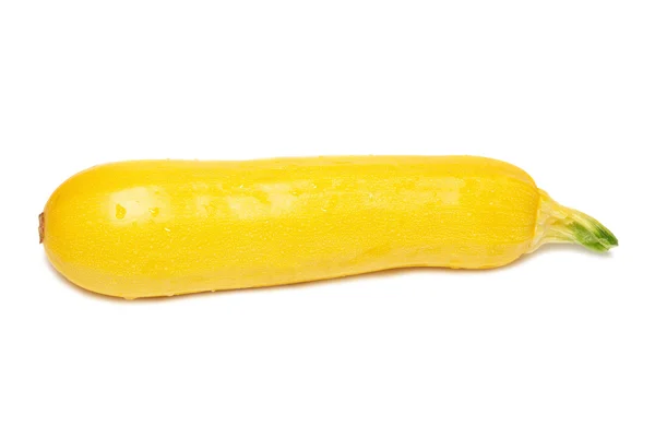 Médula amarilla — Foto de Stock