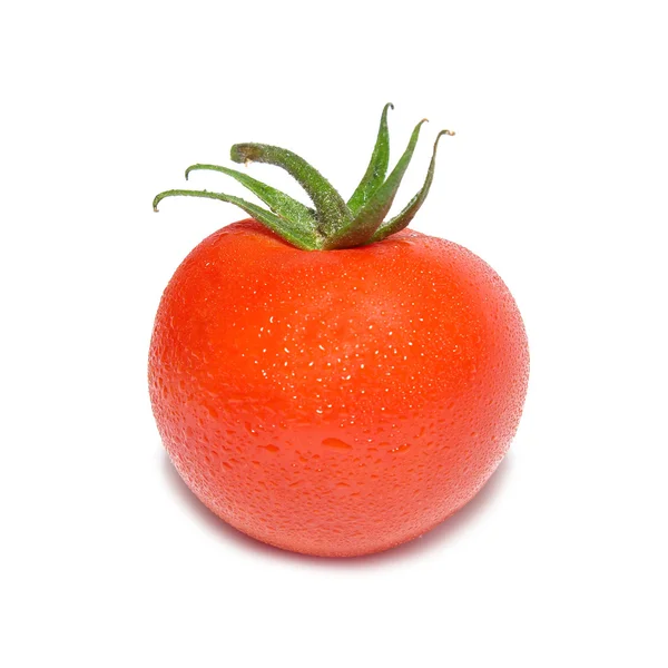 Pomodoro rosso con gocce d'acqua — Foto Stock