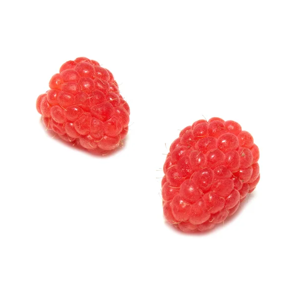 두 나무 딸기 — 스톡 사진