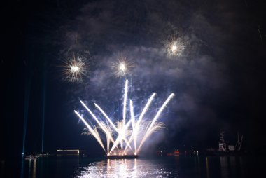 Beautiful salute and fireworks clipart