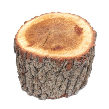 Wooden stump clipart