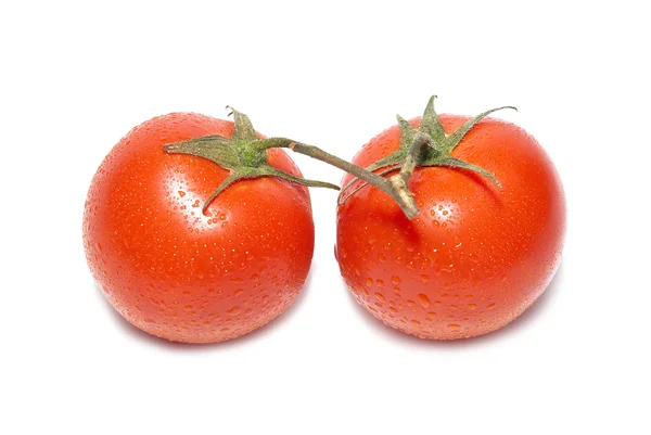 Dois tomates vermelhos com gotas de água — Fotografia de Stock