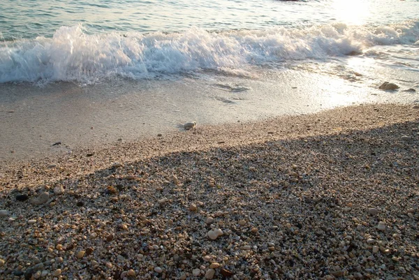 海砂のビーチ — ストック写真