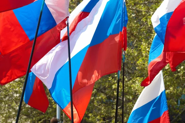 Флаги России — стоковое фото