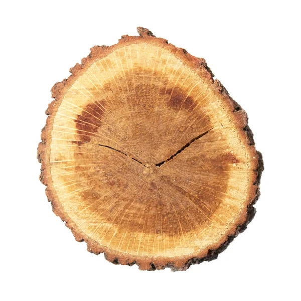 Drewniane kikut — Zdjęcie stockowe