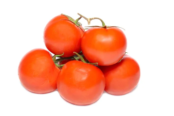 Groupe de tomates rouges — Photo