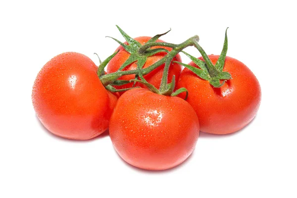 Skupina červených rajčat — Stock fotografie