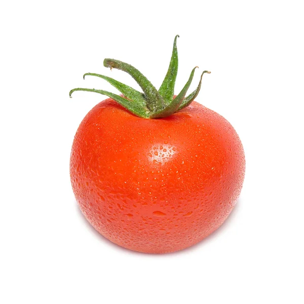 Su damlaları ile kırmızı domates — Stok fotoğraf