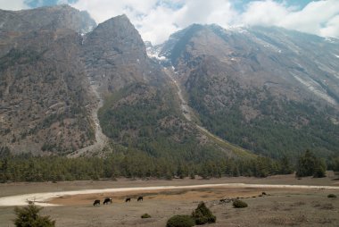 Tibetan mountain's landscape clipart