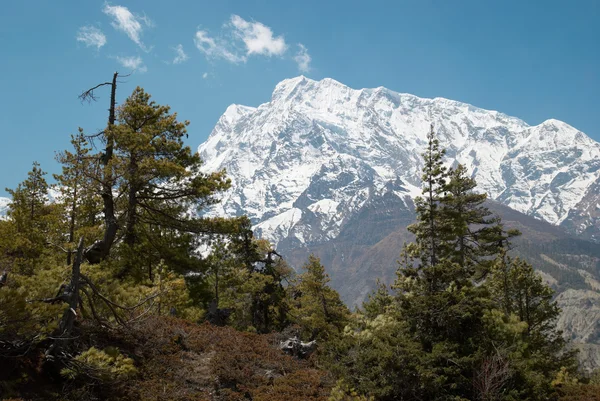 Himalayan mountain — Stock Photo, Image