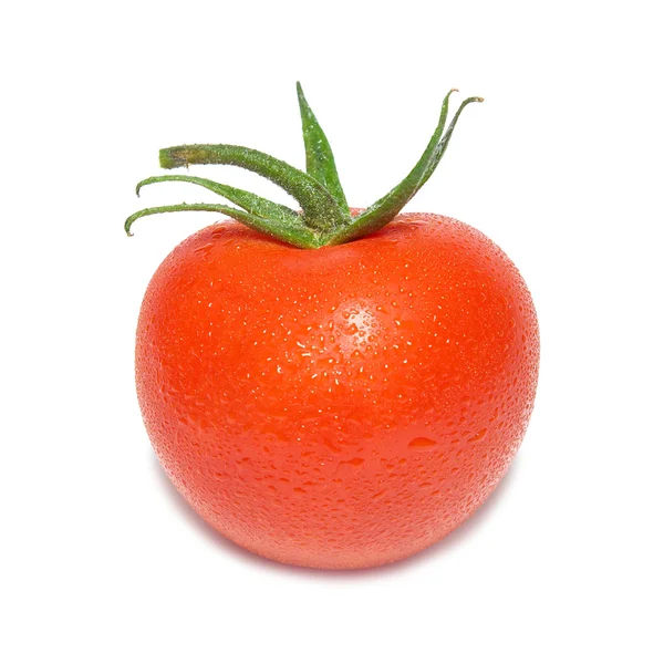 Czerwony pomidor z kropli wody. — Zdjęcie stockowe