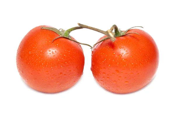 Dos tomates rojos con gotas de agua —  Fotos de Stock