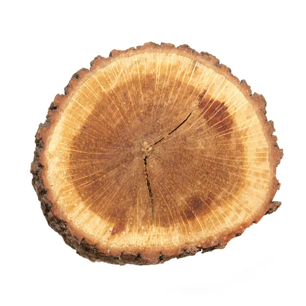 Ceppo di legno — Foto Stock