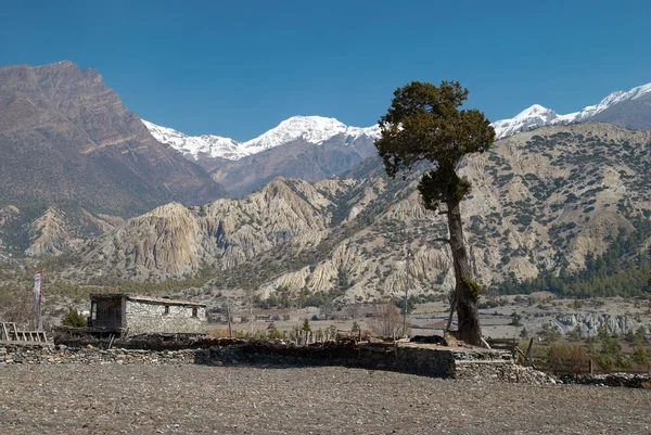 ヒマラヤの山でチベットの村 — ストック写真