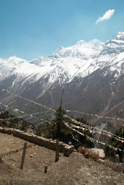 Drapeaux de prière bouddhistes et montagnes . — Photo