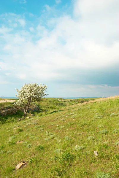 Zielony krajobraz z chmury. — Zdjęcie stockowe