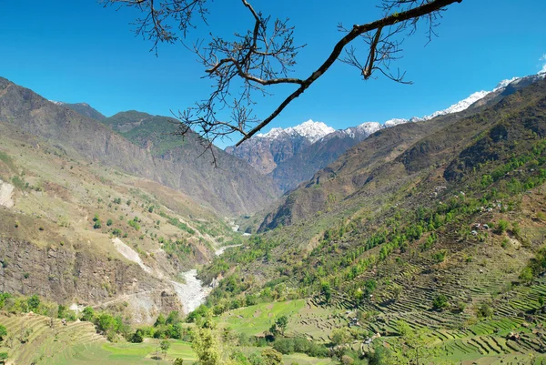 チベットの山の風景 — ストック写真