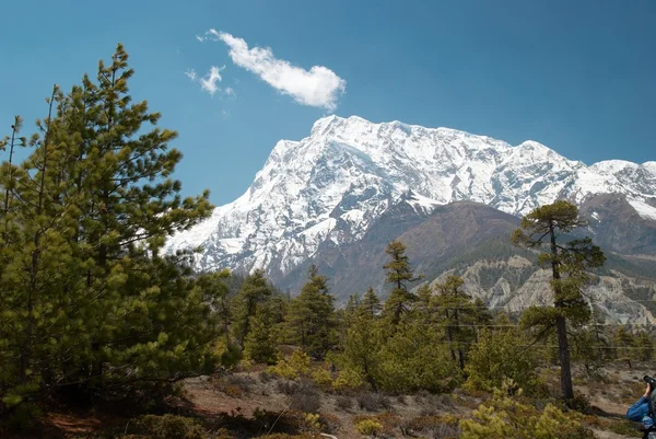 Himalayanske bjerge - Stock-foto