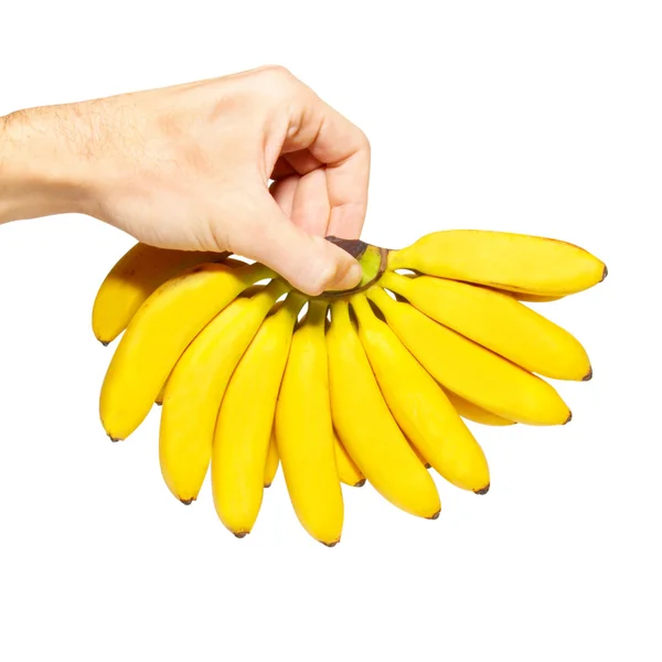 Butch de plátanos pequeños en una mano . —  Fotos de Stock