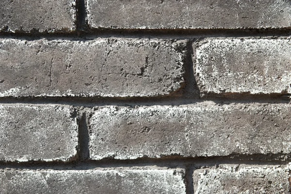Gris mur de briques grunge — Photo