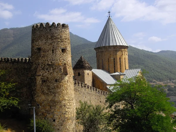 Castello di Ananuri — Foto Stock