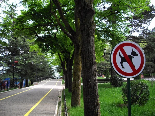 stock image The road