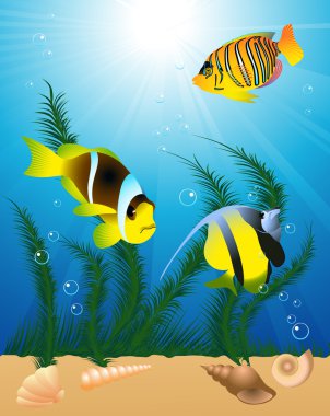 Exotic fish under water clipart