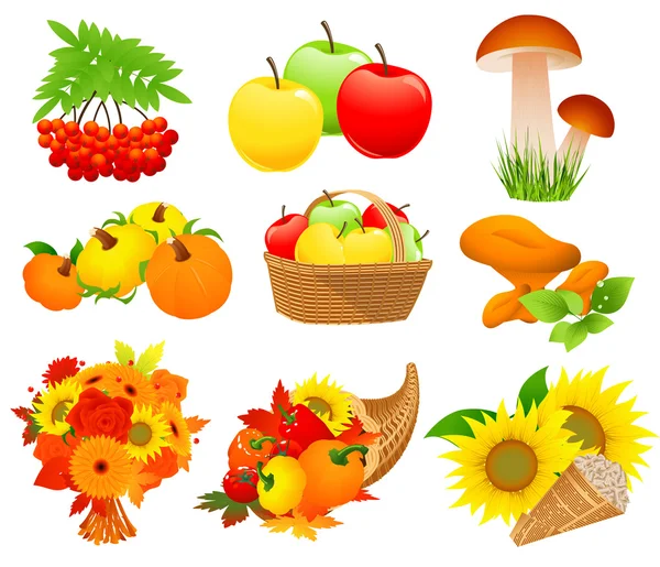 Conjunto de alimentos de otoño — Archivo Imágenes Vectoriales
