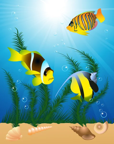 Peixes exóticos debaixo de água — Vetor de Stock