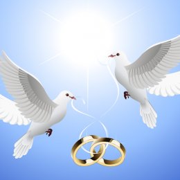 Wedding doves Stock Photos, Royalty Free Wedding doves Images ...