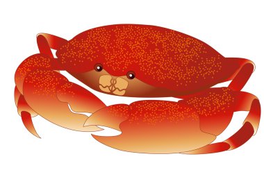 Crab clipart