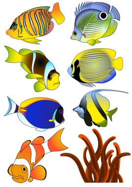 Exotic fish clipart