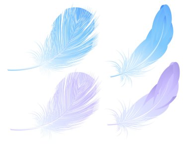 Feather set