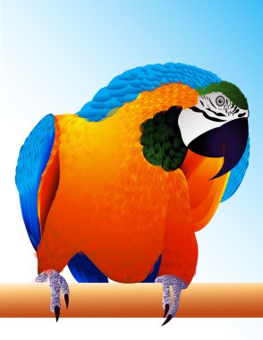 Parrot clipart