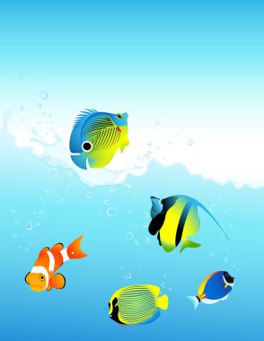 Sea fish clipart