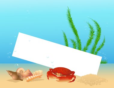 Sea shell frame clipart