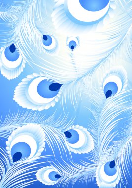 White peacock feather background clipart