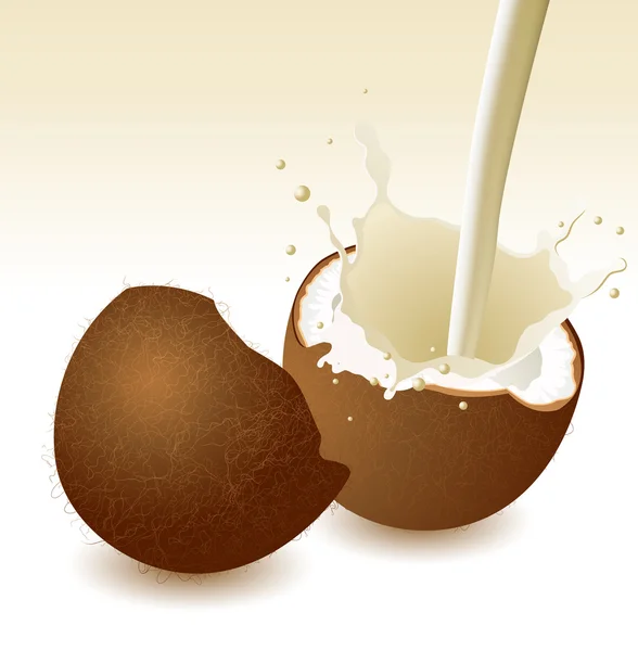 Kokosnöt med mjölk splash — Stock vektor